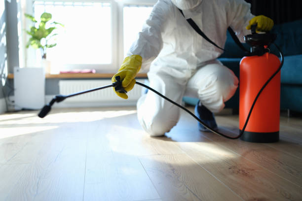 Reliable Infectious Disease Decontamination contractor in Rollinsville, CO by Trauma Clean Pros